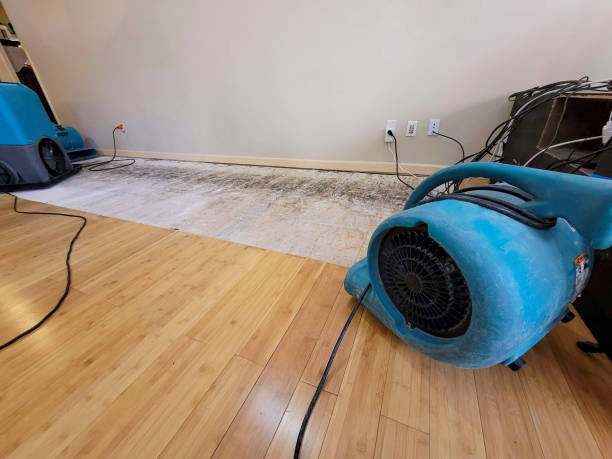Professional Water Damage Repair technician working in Shippingport, PA
